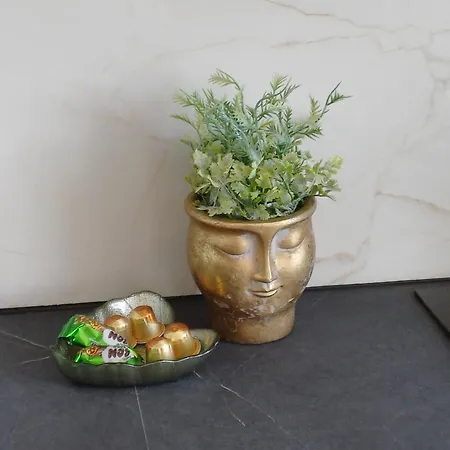 Horizont River View 公寓 *